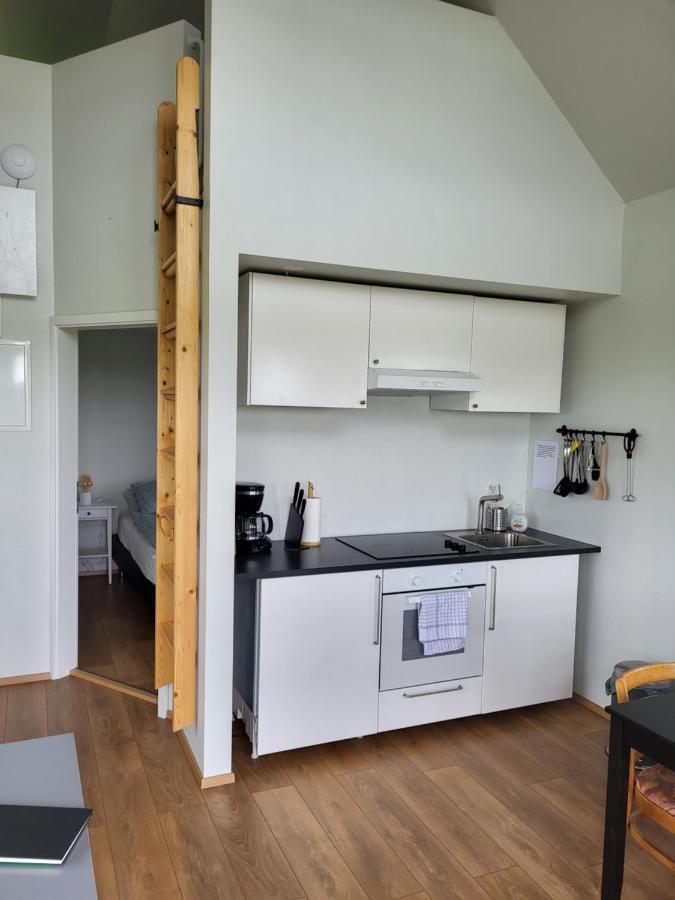 Holar Countryside Cabin 1 塞尔福斯 外观 照片