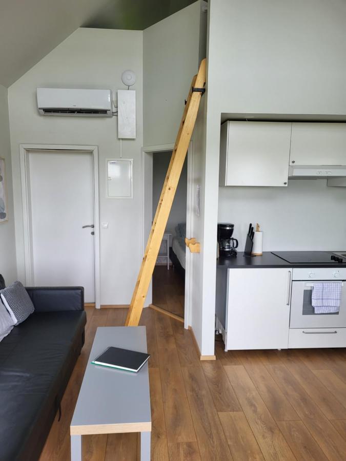 Holar Countryside Cabin 1 塞尔福斯 外观 照片
